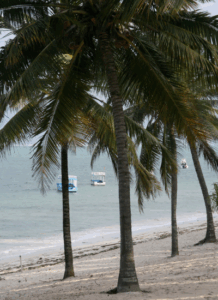 Mombasa Train Package