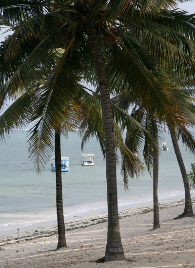 Mombasa Train Package